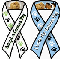 whiteribbon and blue ribbon